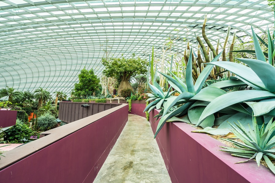Read more about the article Biophilic Design: 7 Powerful Ways to Embrace Eco-Conscious Living for Sustainable Futures